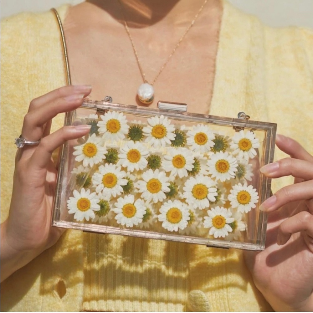NWT Zara Natural Daisy Crossbody Box Bag